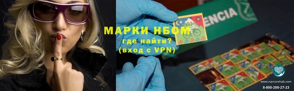 гидра Вяземский