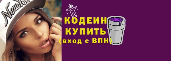 гидра Вяземский